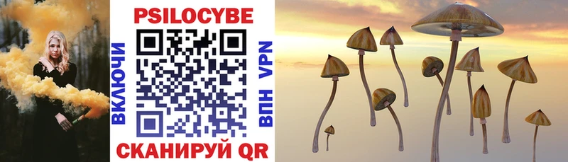 Псилоцибиновые грибы Cubensis  Нолинск 